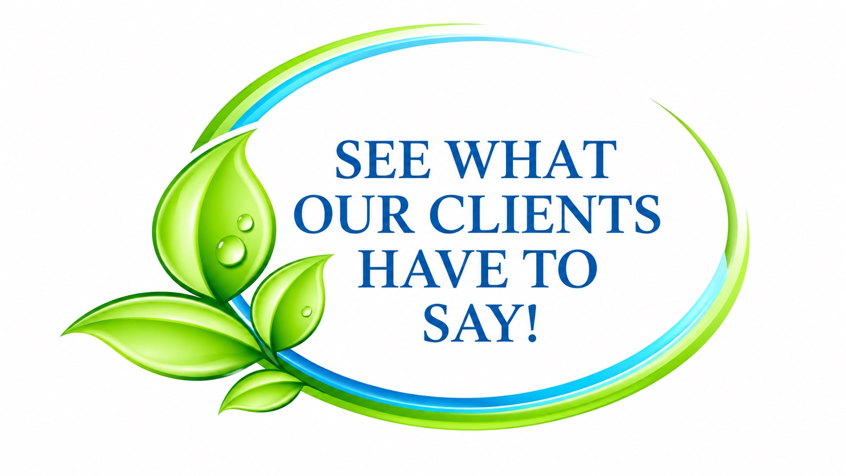 See what our clients have to say